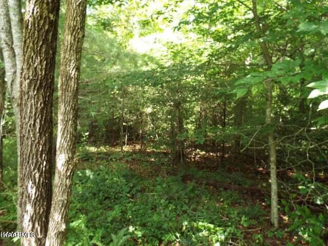 3 Four Four Mile Creek Road Deer Lodge, TN 37726 - Photo 9 of 14 20230731184321662778000000-o