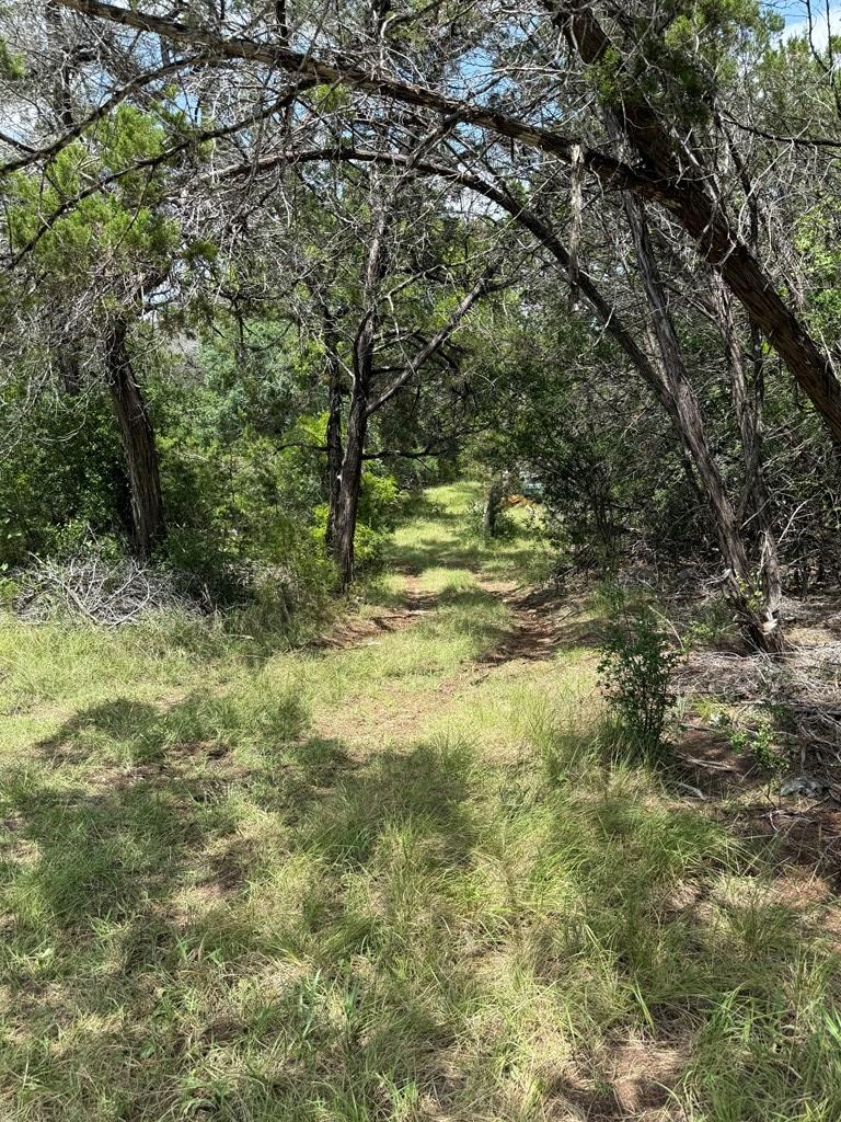 159 Valley Vista Road, Unit 159 Alice, TX 78332 - Photo 5 of 20 Gallery Image 5