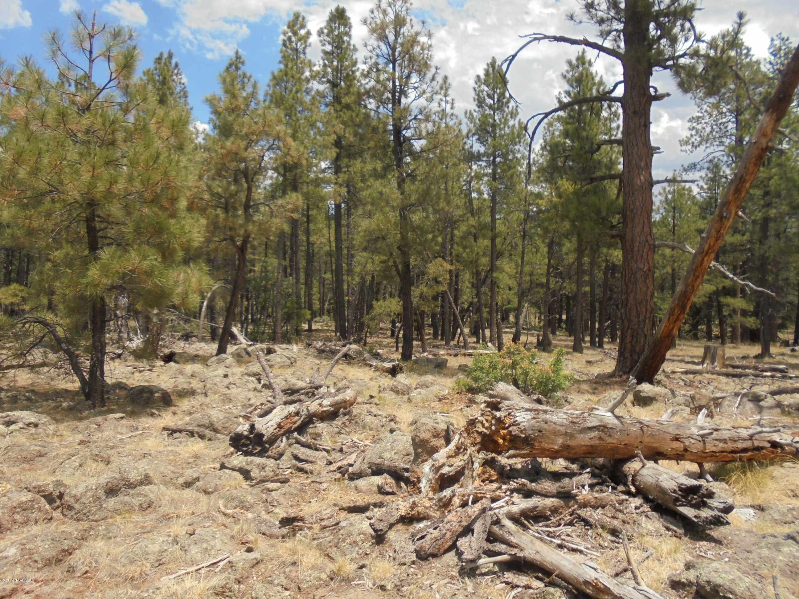 4733 South Shiner Ranch Road Williams, AZ 86046 - Photo 11 of 12 DSC00611