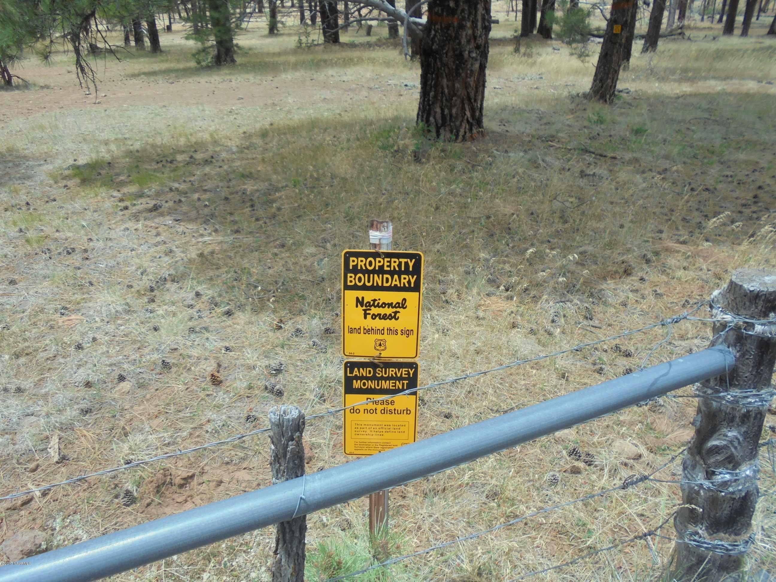 4733 South Shiner Ranch Road Williams, AZ 86046 - Photo 12 of 12 DSC00612