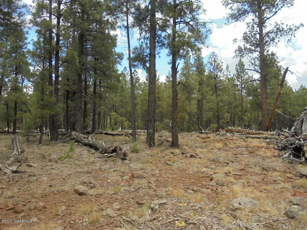 4733 South Shiner Ranch Road Williams, AZ 86046 - Photo 3 of 12 DSC00603