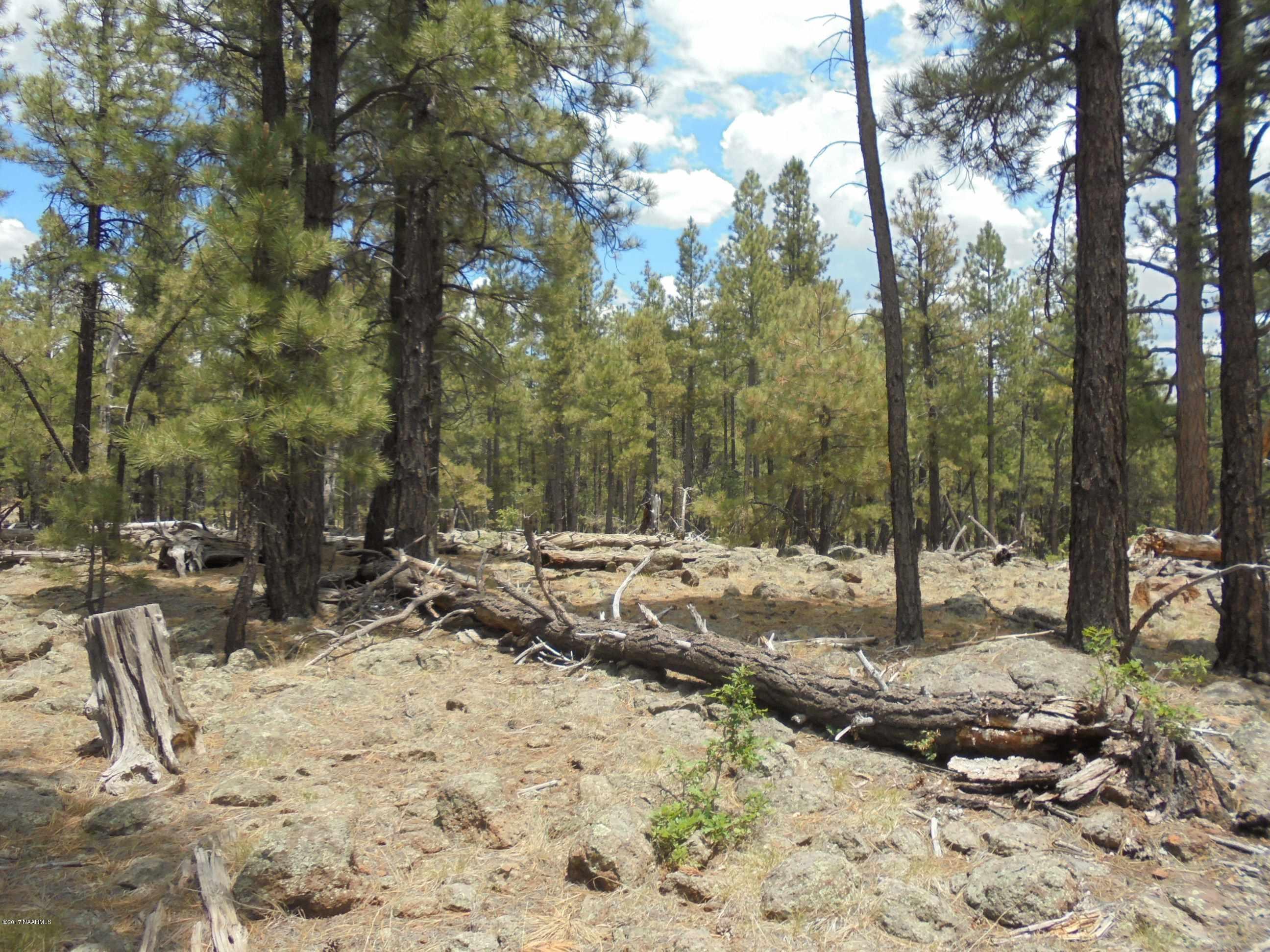 4733 South Shiner Ranch Road Williams, AZ 86046 - Photo 5 of 12 DSC00605