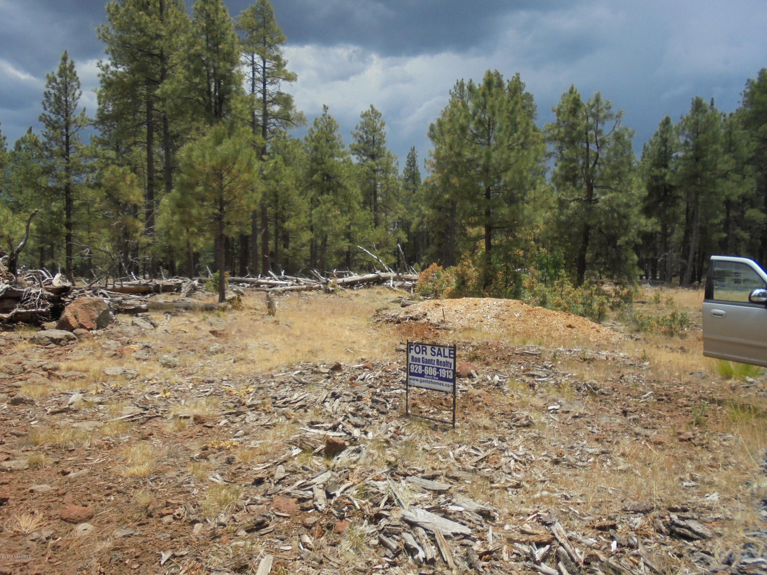 4733 South Shiner Ranch Road Williams, AZ 86046 - Photo 6 of 12 DSC00606