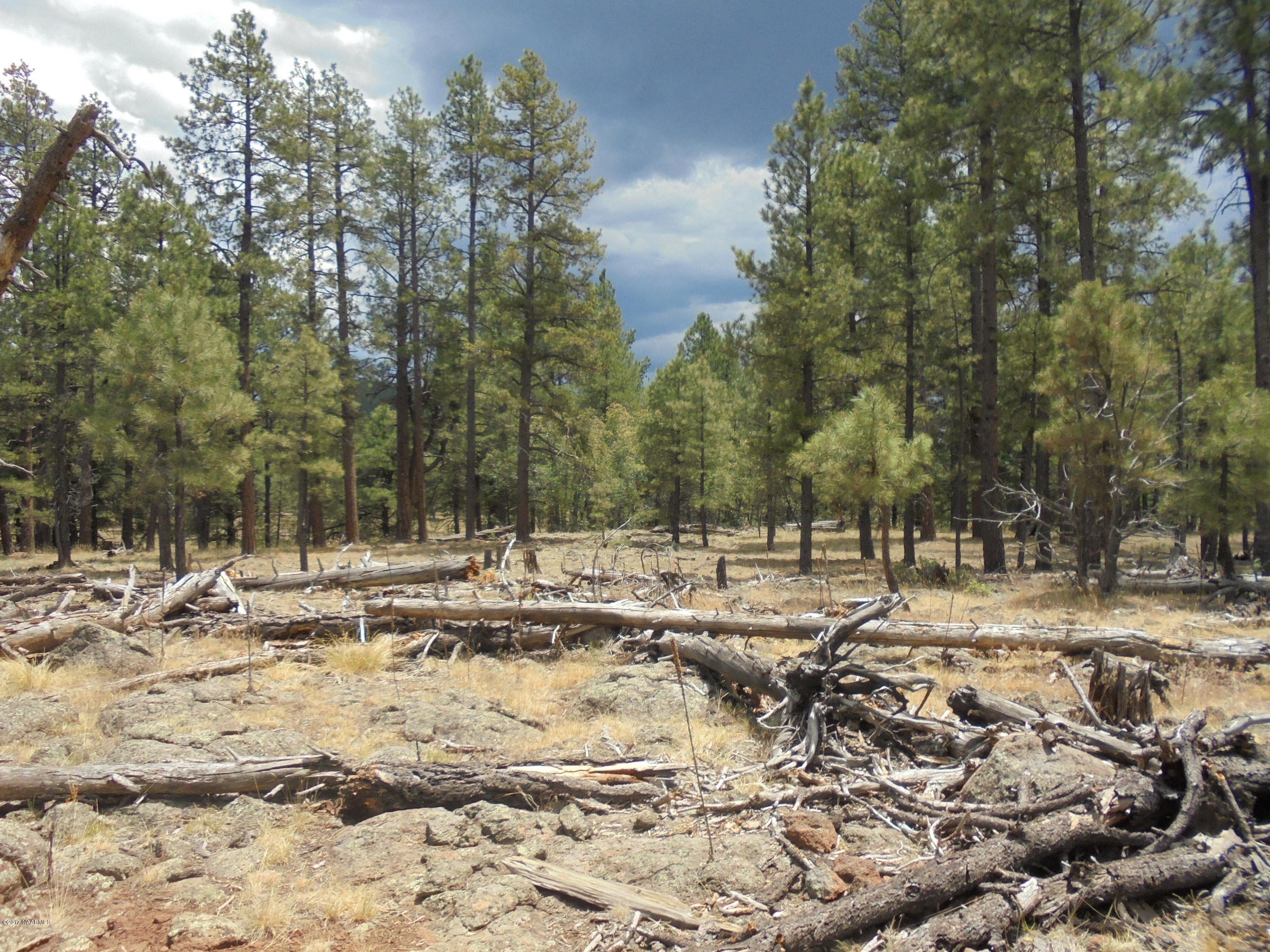 4733 South Shiner Ranch Road Williams, AZ 86046 - Photo 7 of 12 DSC00607