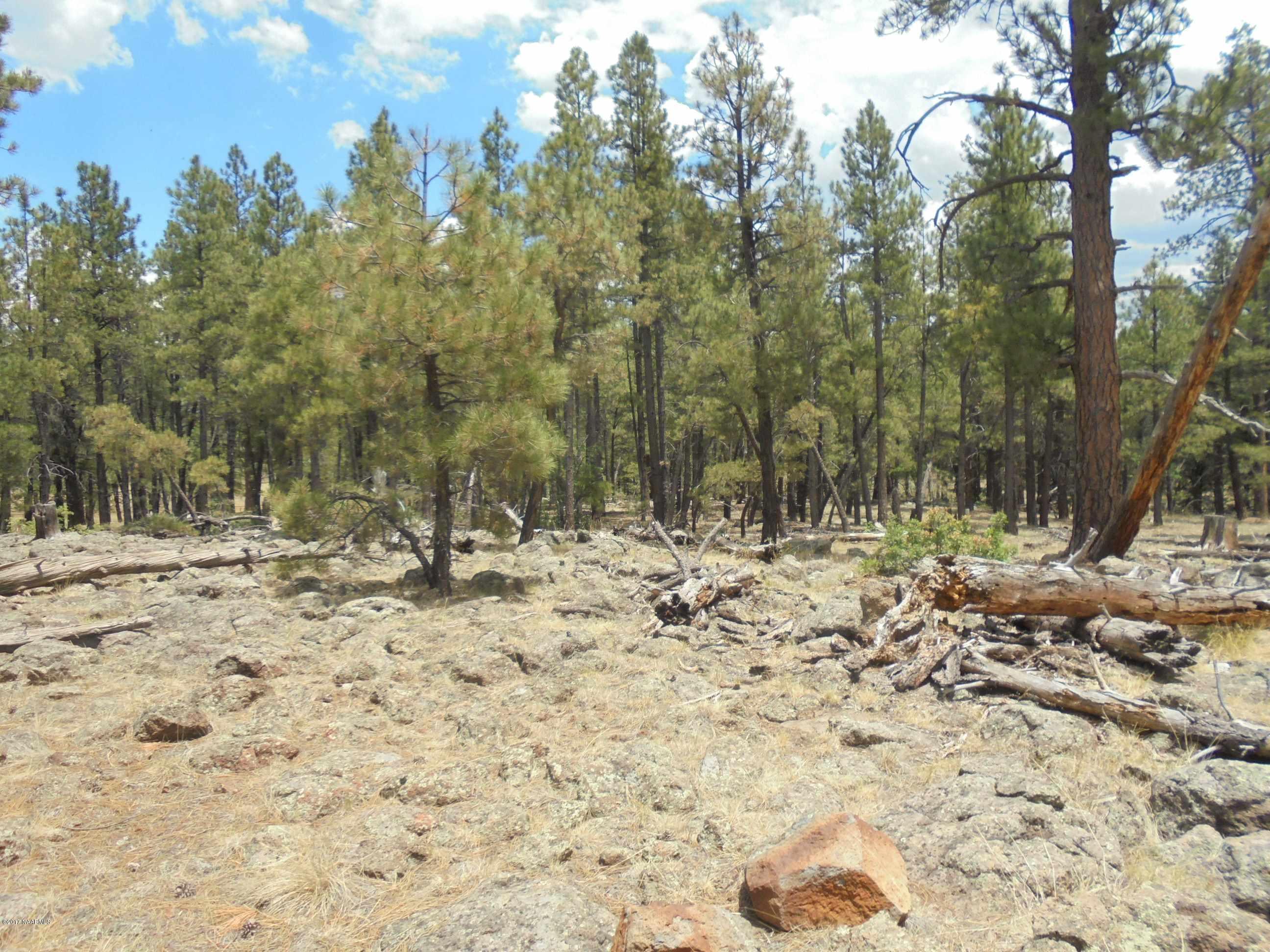 4733 South Shiner Ranch Road Williams, AZ 86046 - Photo 8 of 12 DSC00608