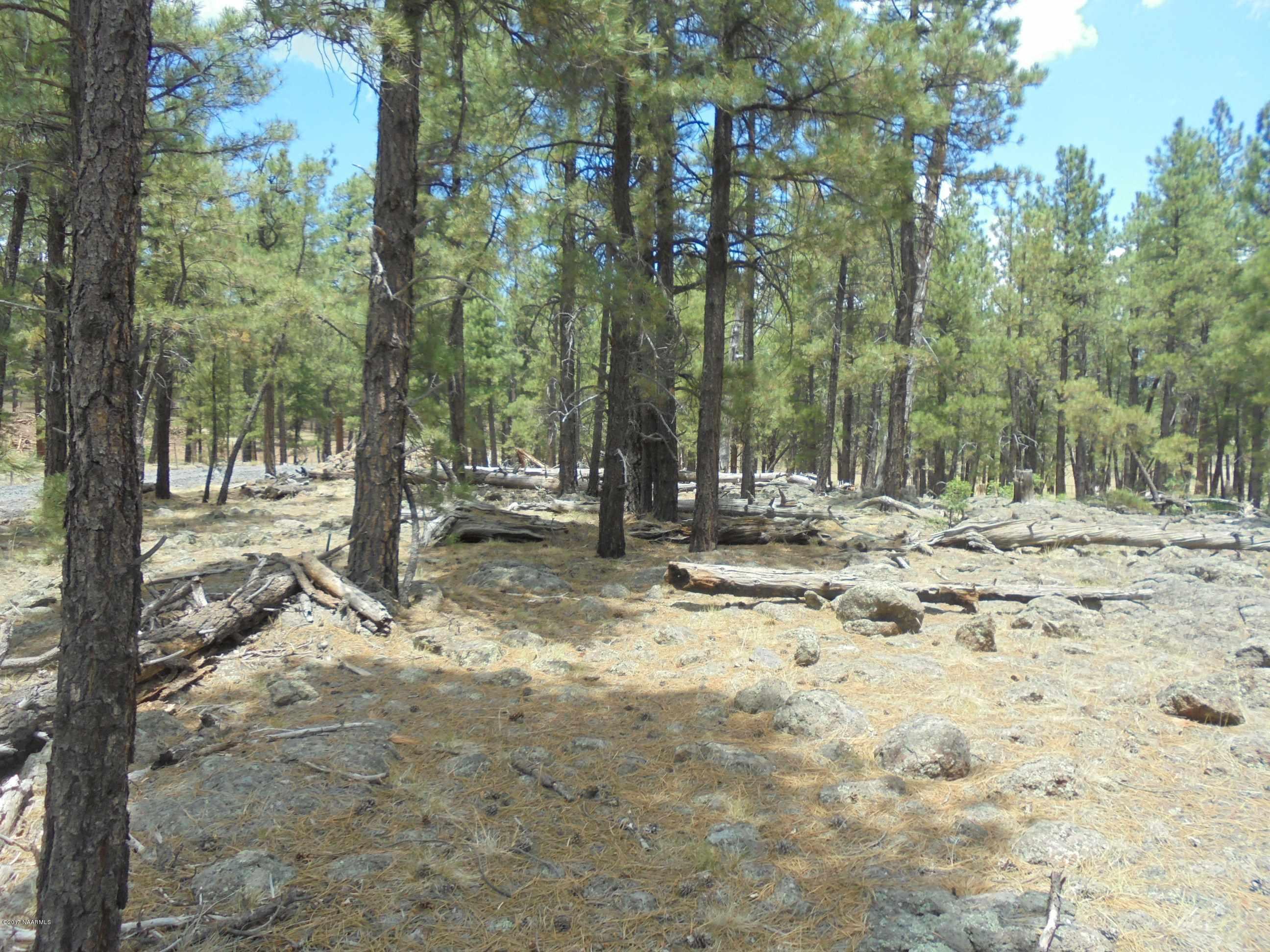 4733 South Shiner Ranch Road Williams, AZ 86046 - Photo 9 of 12 DSC00609