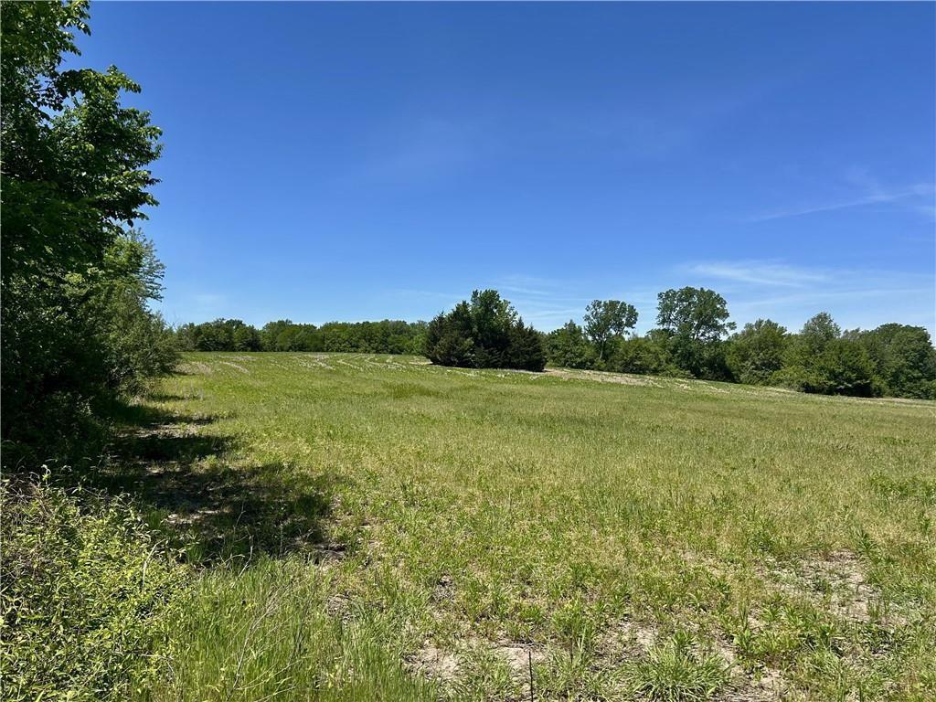 East Colbern Road Lone Jack, MO 64070 - Photo 6 of 13