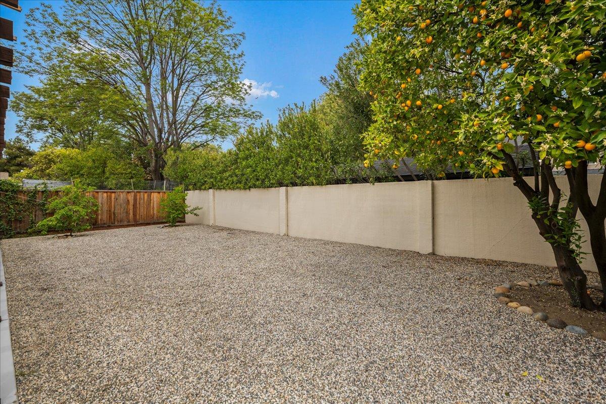 4118 Rosenbaum Avenue San Jose, CA 95136 - Photo 46 of 55 a view of backyard and tree