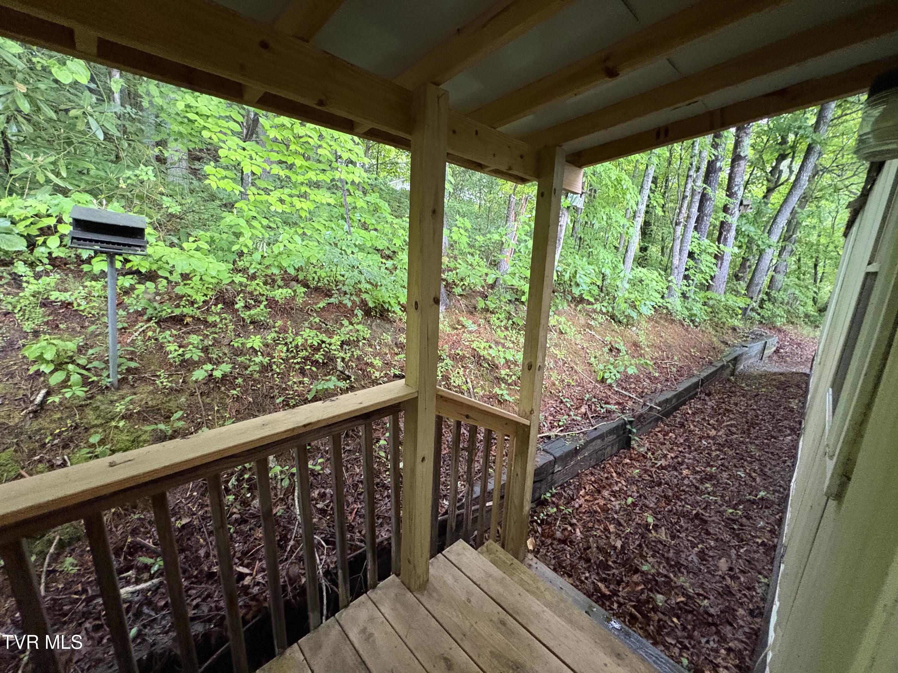 175 Union Chapel Road Afton, TN 37616 - Photo 5 of 17 4a