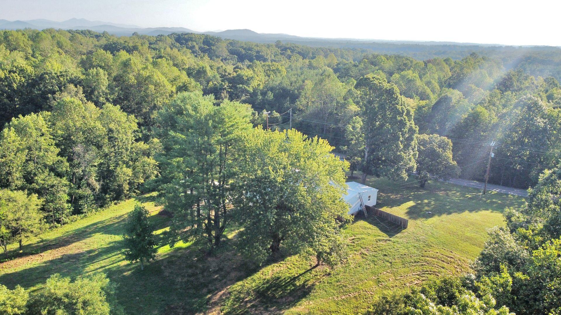 4453 Truman Hill Road Hardy, VA 24101 - Photo 9 of 15 58