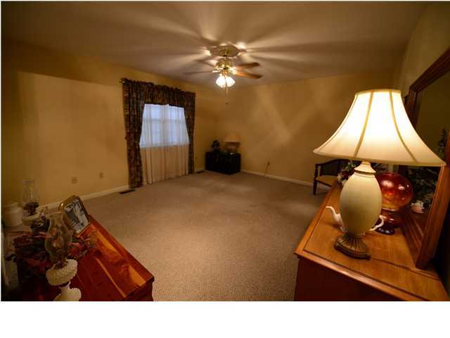 238 East Roddy Road Spring City, TN 37381 - Photo 6 of 13 Additional Photo