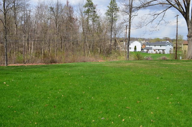 8234 Ravinia Road Fort Wayne, IN 46825 - Photo 8 of 9 Gallery Image 8