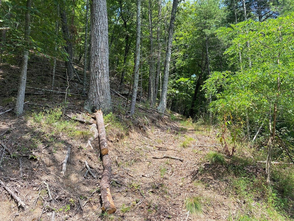 Tbd Spur Branch Road, Unit 9A Dublin, VA 24084 - Photo 11 of 18 Gallery Image 11