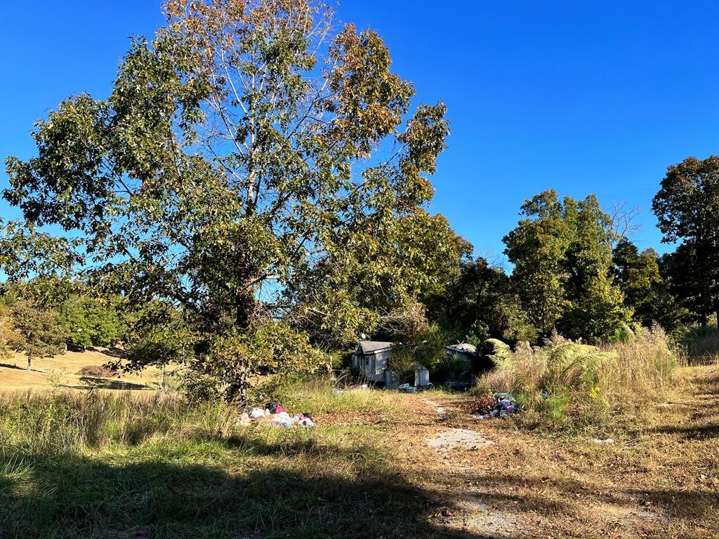 1865 Liggett Road Decatur, TN 37322 - Photo 1 of 9 a view of a yard with wooden fence