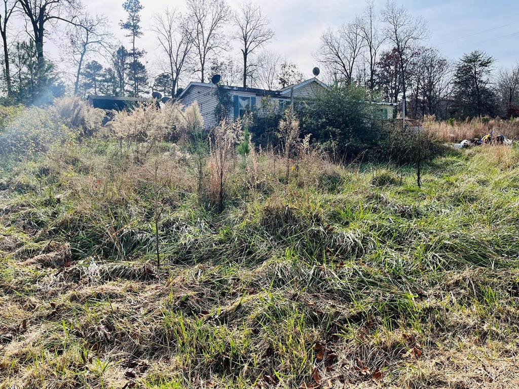 1865 Liggett Road Decatur, TN 37322 - Photo 6 of 9 a view of a lush green forest with lots of trees