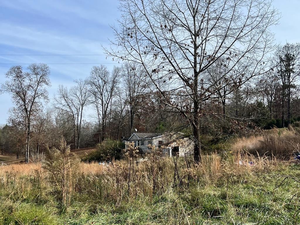 1865 Liggett Road Decatur, TN 37322 - Photo 7 of 9 a view of a yard with a tree