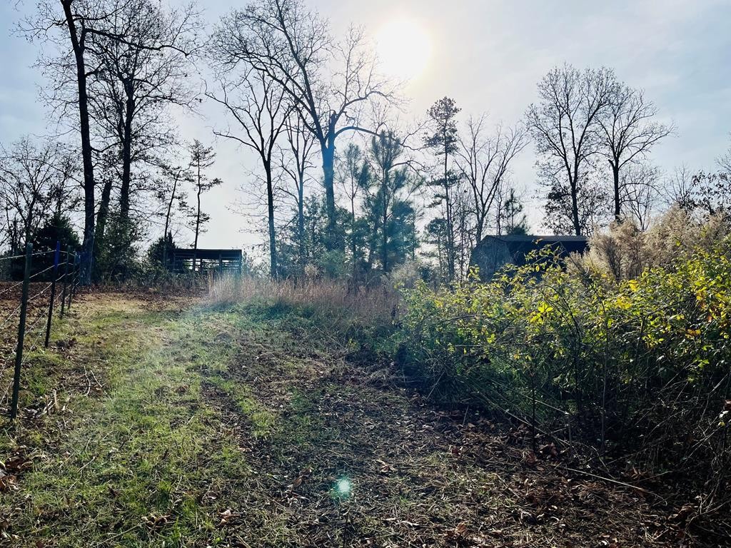 1865 Liggett Road Decatur, TN 37322 - Photo 8 of 9 a backyard of a house with lots of green space