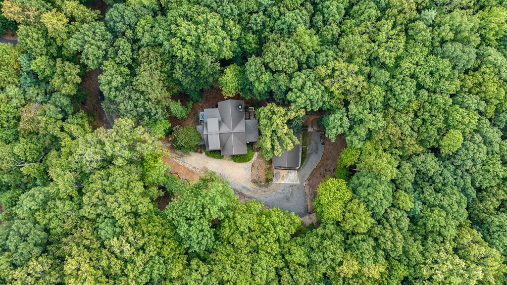 337 Settlement Road Epworth, GA 30541 - Photo 55 of 71