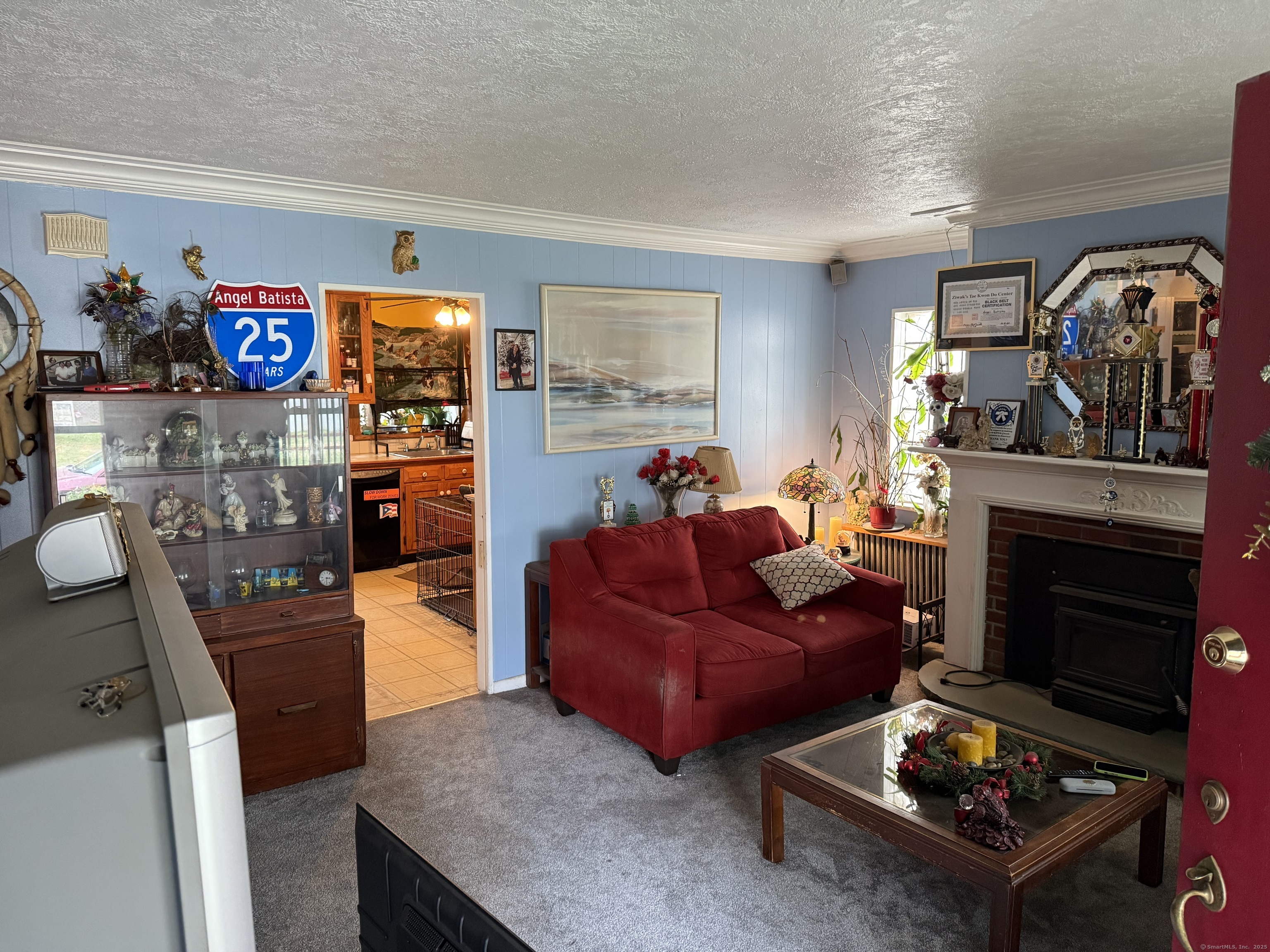 181 City View Avenue Bridgeport, CT 06606 - Photo 26 of 33 a living room with furniture and a fireplace
