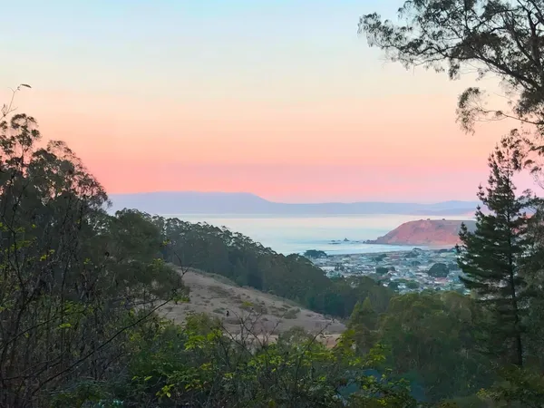 a view of a city with lush green forest