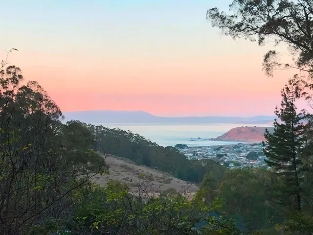 a view of a city with lush green forest