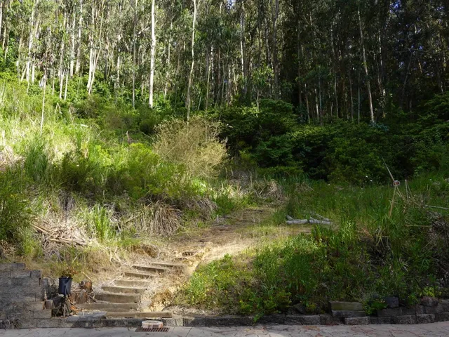 a view of backyard with green space