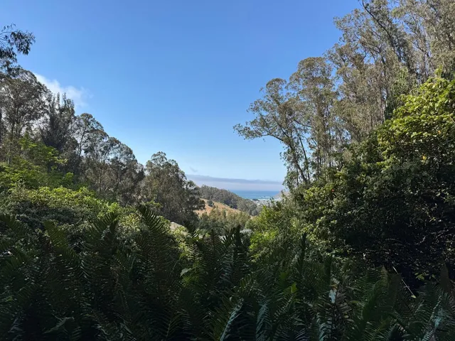 a view of a backyard of the house