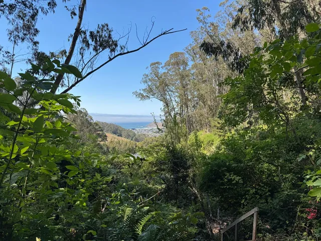 a view of swimming pool with a yard