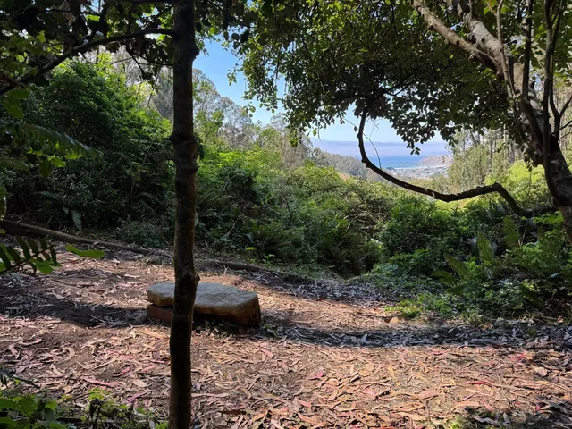 a view of outdoor space and garden