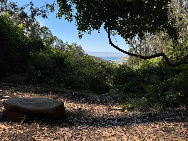 a view of outdoor space and yard
