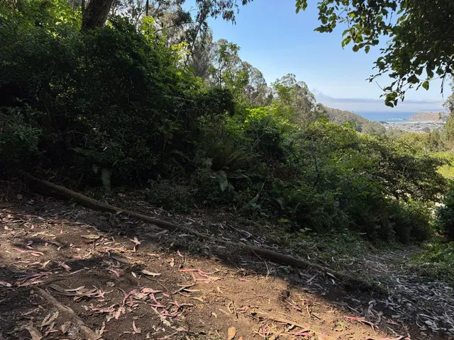 a view of a large yard with lots of green space