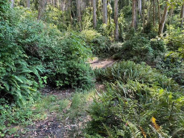 $340,000 | 0 Adobe Drive, Pacifica, CA 94044