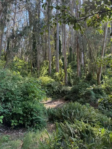 $340,000 | 0 Adobe Drive, Pacifica, CA 94044