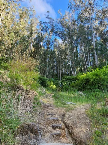 a view of beach and mountain