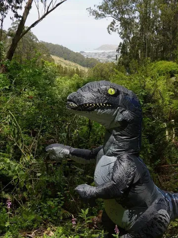 a view of a forest with large trees