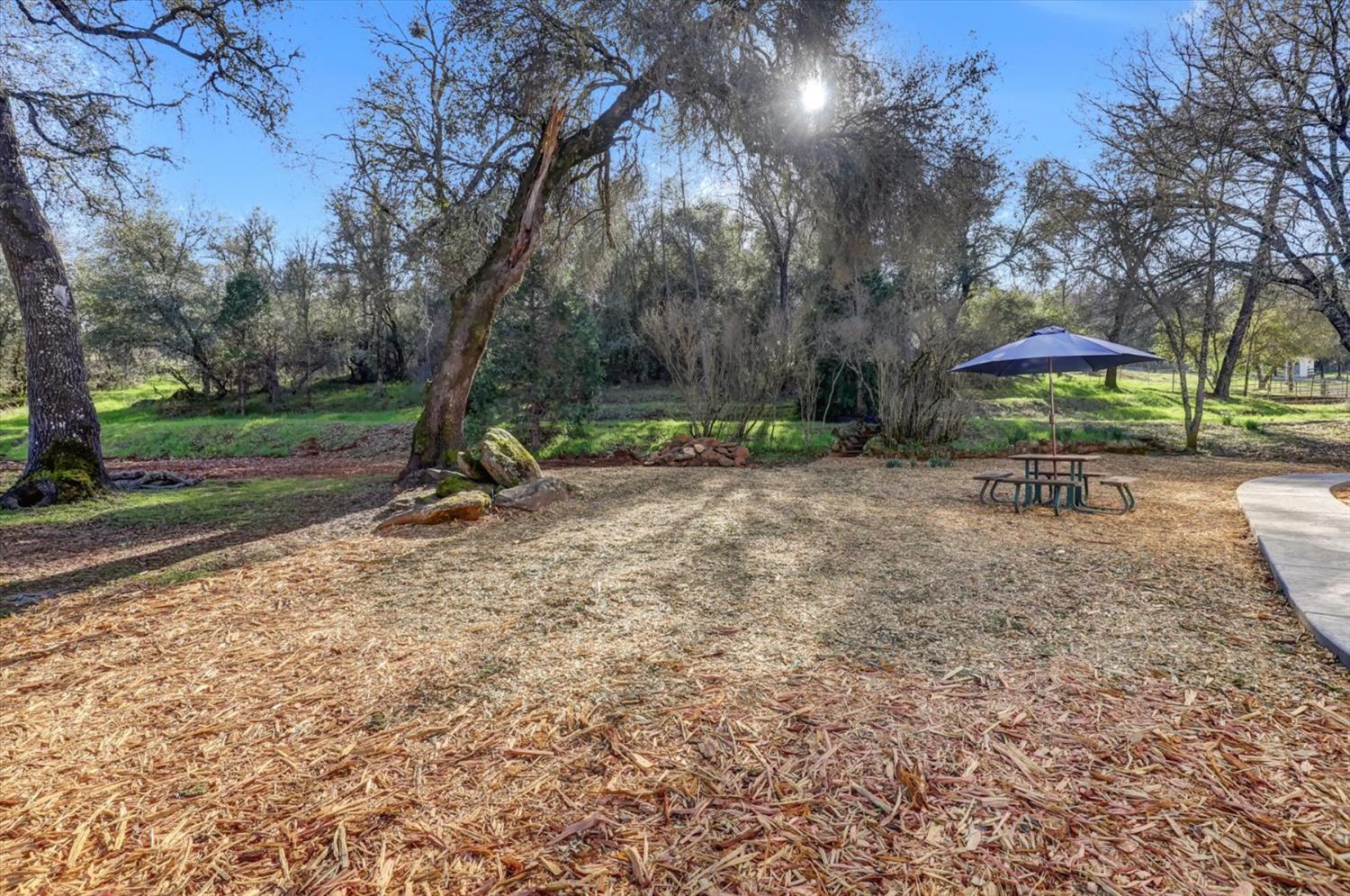 12545 Wolf Road Grass Valley, CA 95949 - Photo 42 of 99