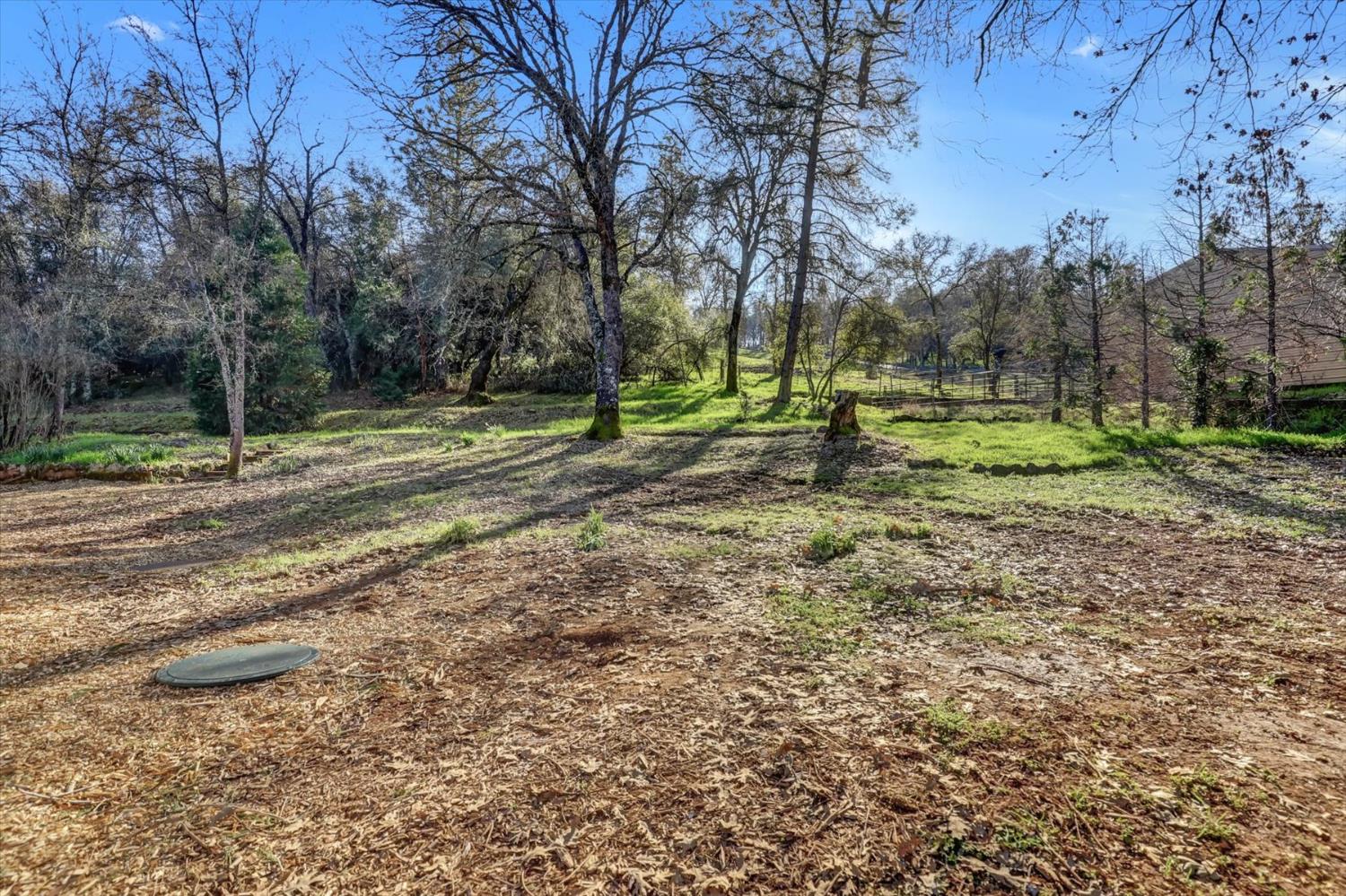 12545 Wolf Road Grass Valley, CA 95949 - Photo 55 of 99