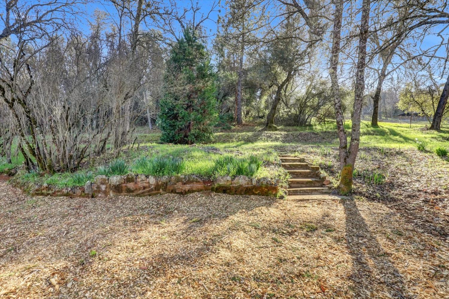 12545 Wolf Road Grass Valley, CA 95949 - Photo 57 of 99