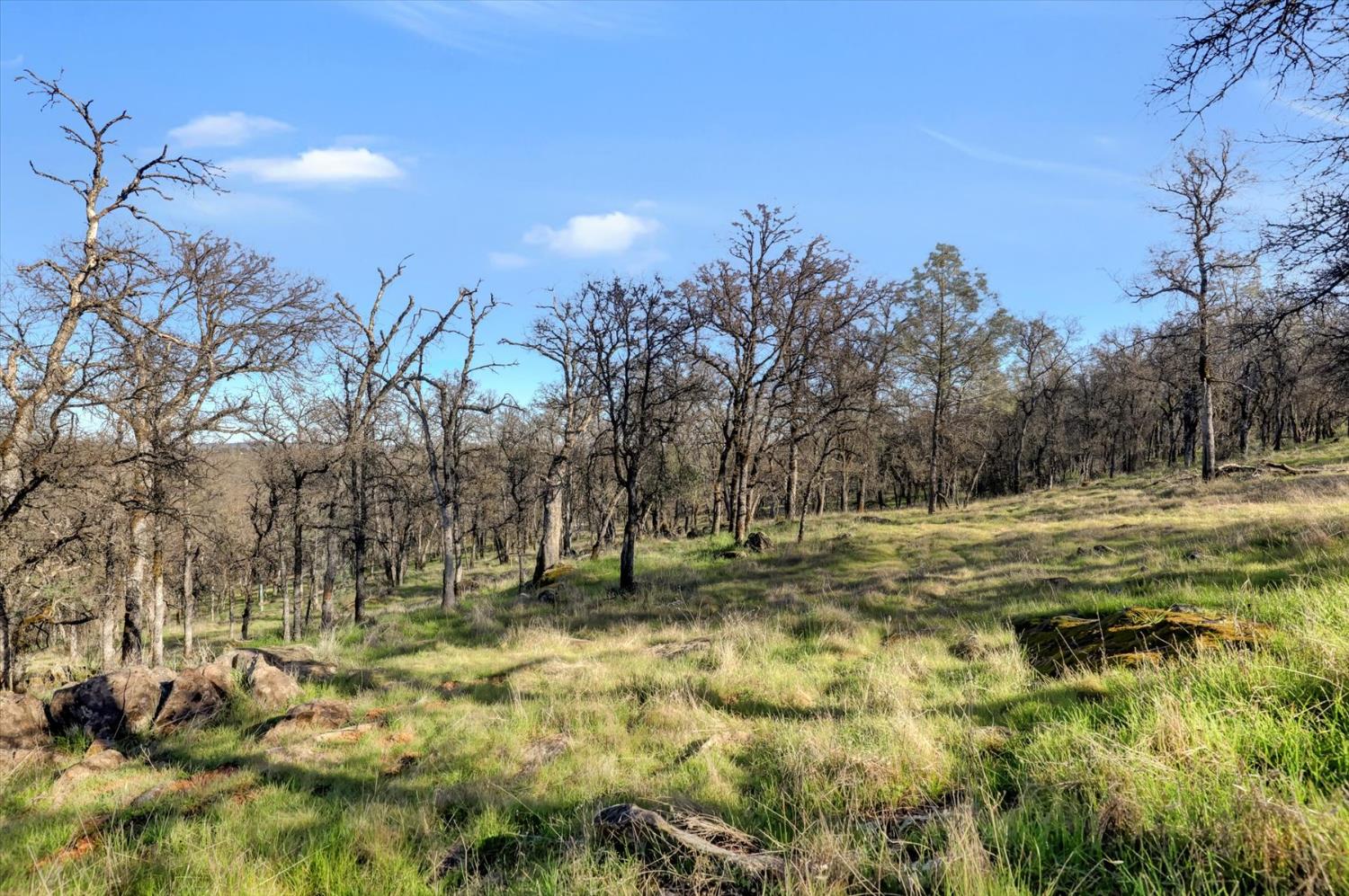 12545 Wolf Road Grass Valley, CA 95949 - Photo 59 of 99