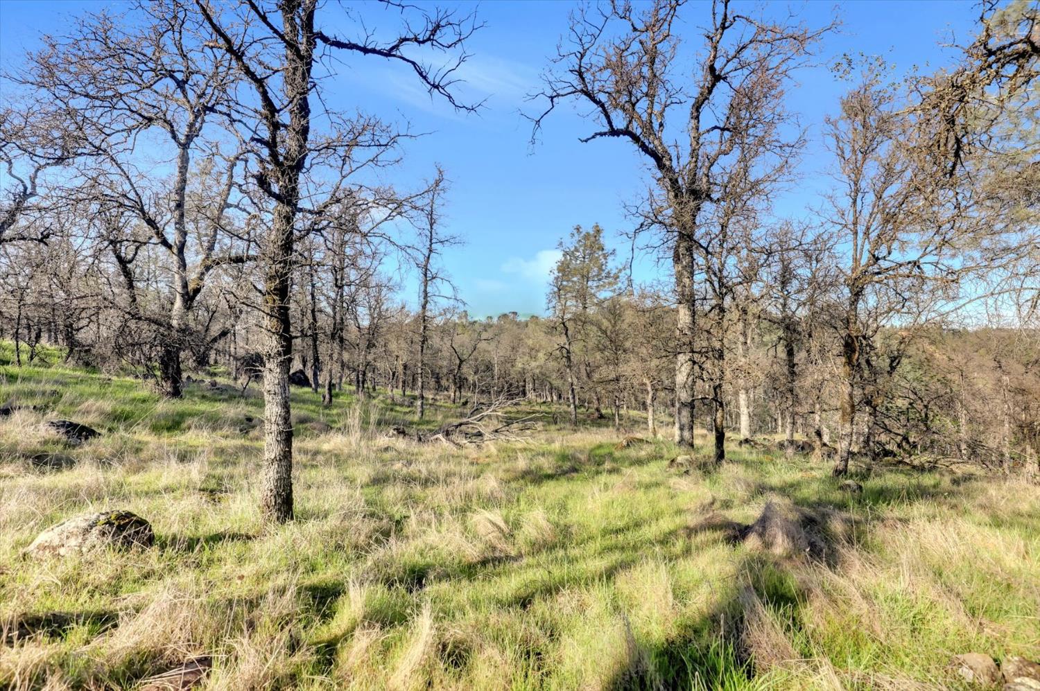 12545 Wolf Road Grass Valley, CA 95949 - Photo 62 of 99