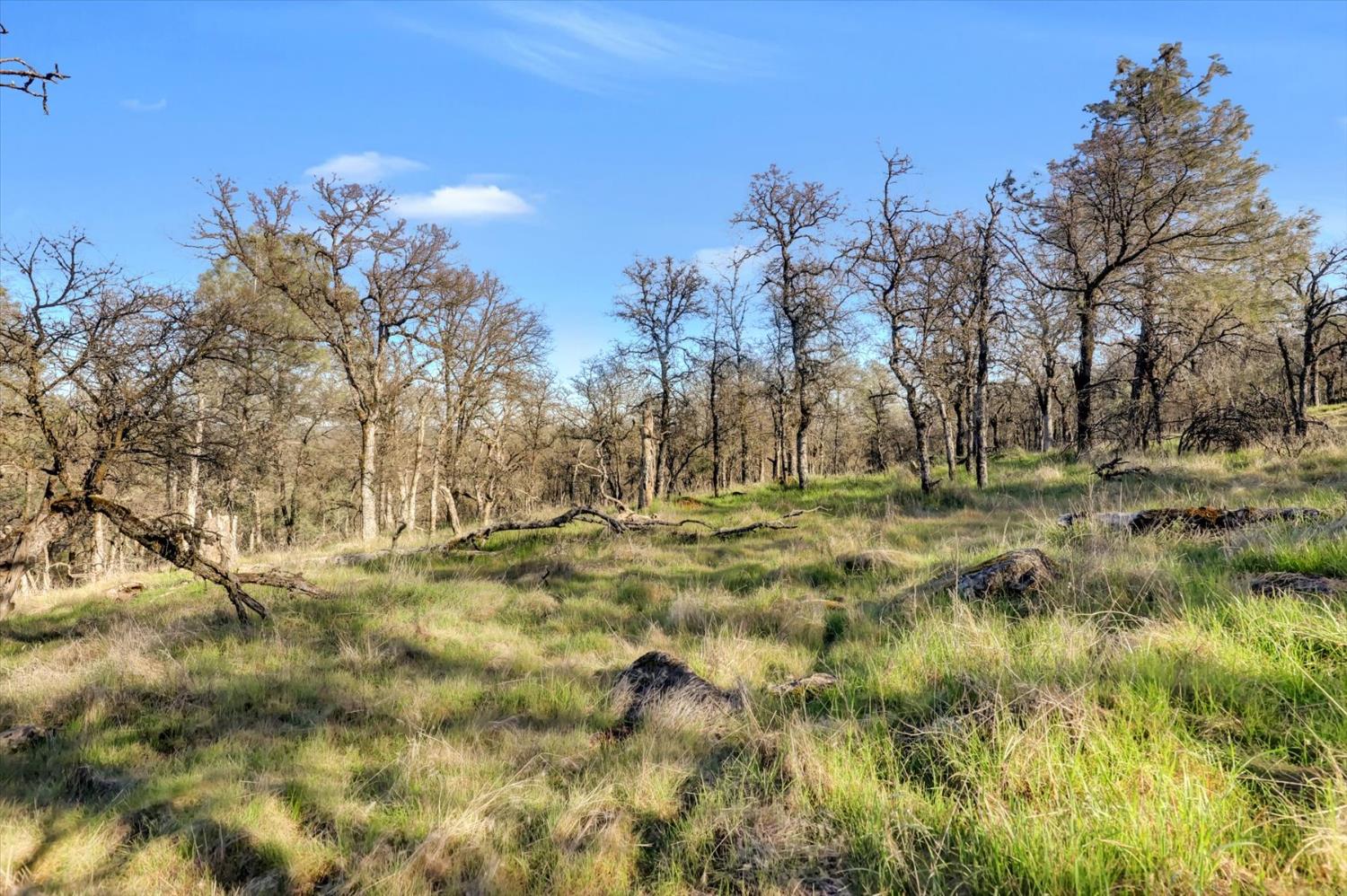 12545 Wolf Road Grass Valley, CA 95949 - Photo 65 of 99