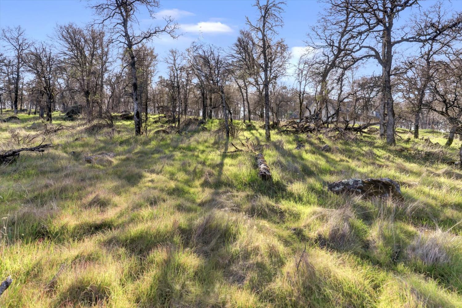 12545 Wolf Road Grass Valley, CA 95949 - Photo 67 of 99