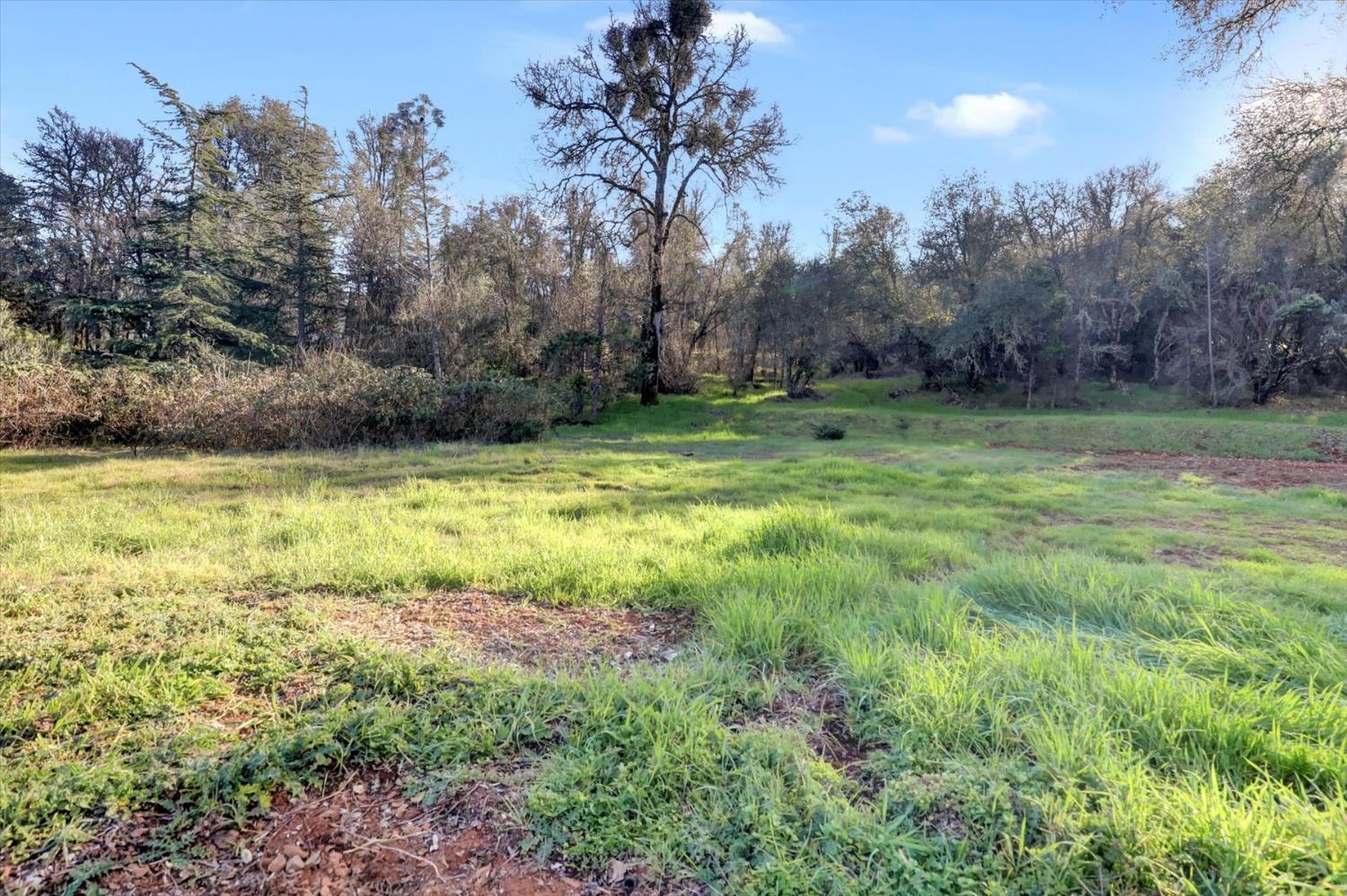 12545 Wolf Road Grass Valley, CA 95949 - Photo 72 of 99