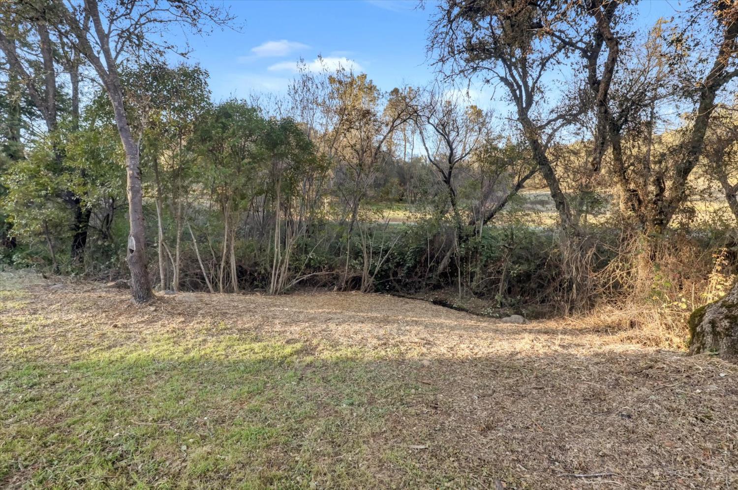 12545 Wolf Road Grass Valley, CA 95949 - Photo 74 of 99