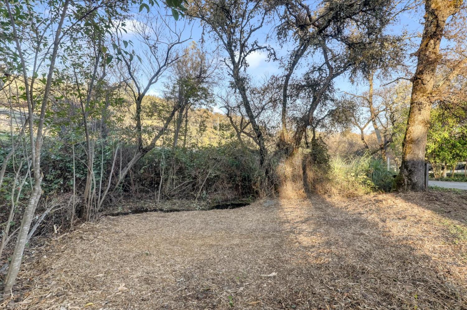 12545 Wolf Road Grass Valley, CA 95949 - Photo 75 of 99