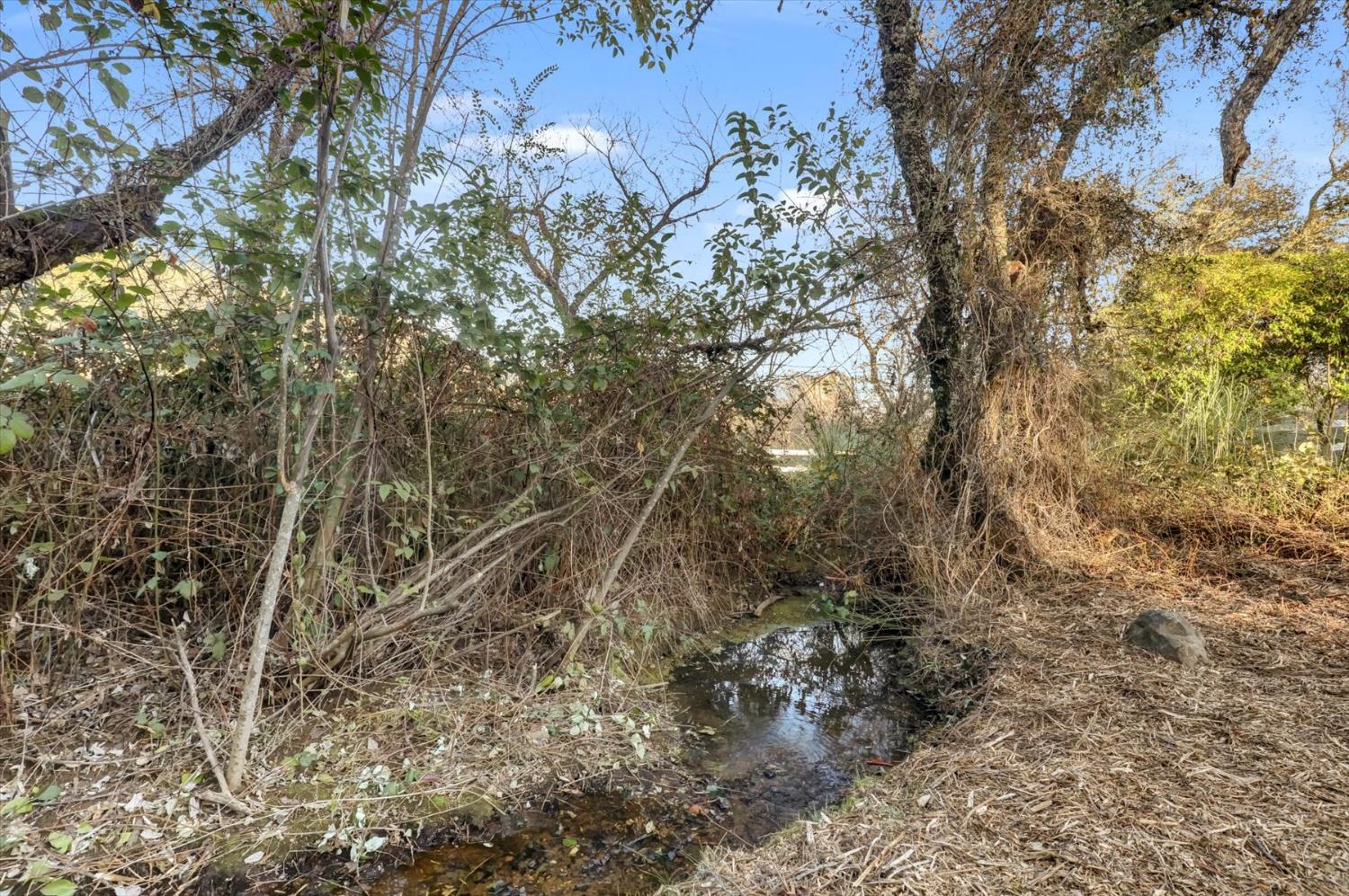 12545 Wolf Road Grass Valley, CA 95949 - Photo 76 of 99