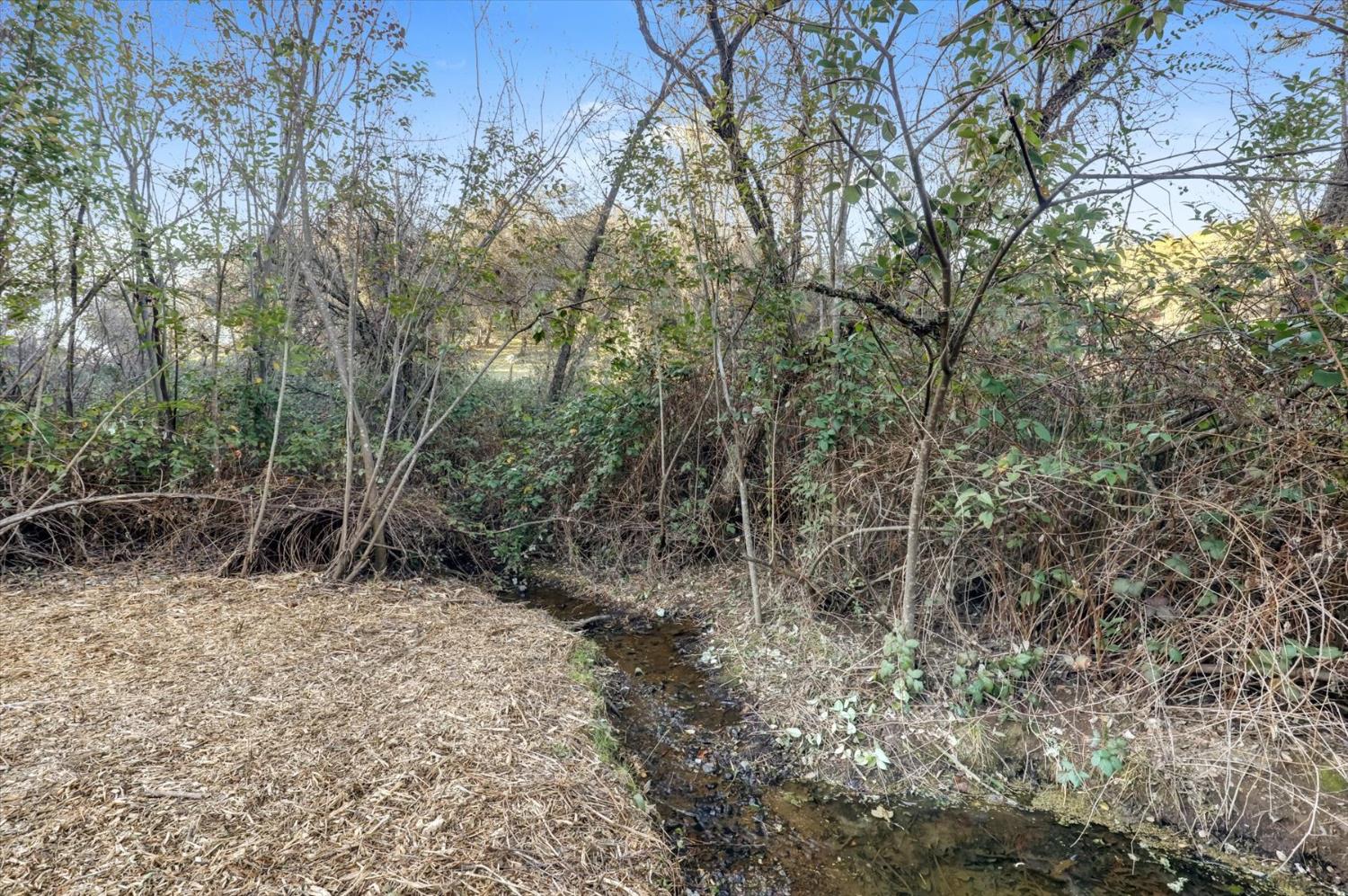 12545 Wolf Road Grass Valley, CA 95949 - Photo 77 of 99