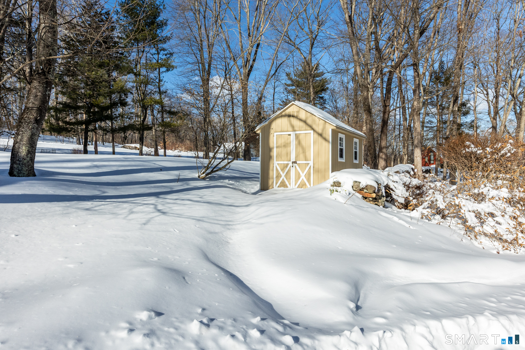 550 High Street Coventry, CT 06238 - Photo 7 of 35 a view of a yard with large trees
