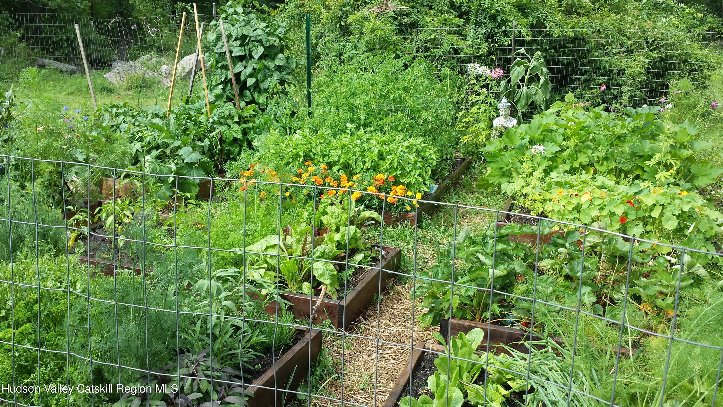 3645 Atwood Road Stone Ridge, NY 12484 - Photo 22 of 26 Vegetable garden