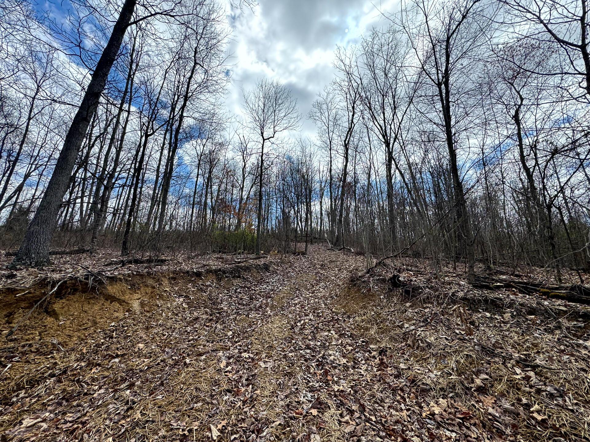 266 Golf Course Road, Unit TRACT 9 SKYLINE ACRES) Waverly, OH 45690 - Photo 14 of 39 CT-14